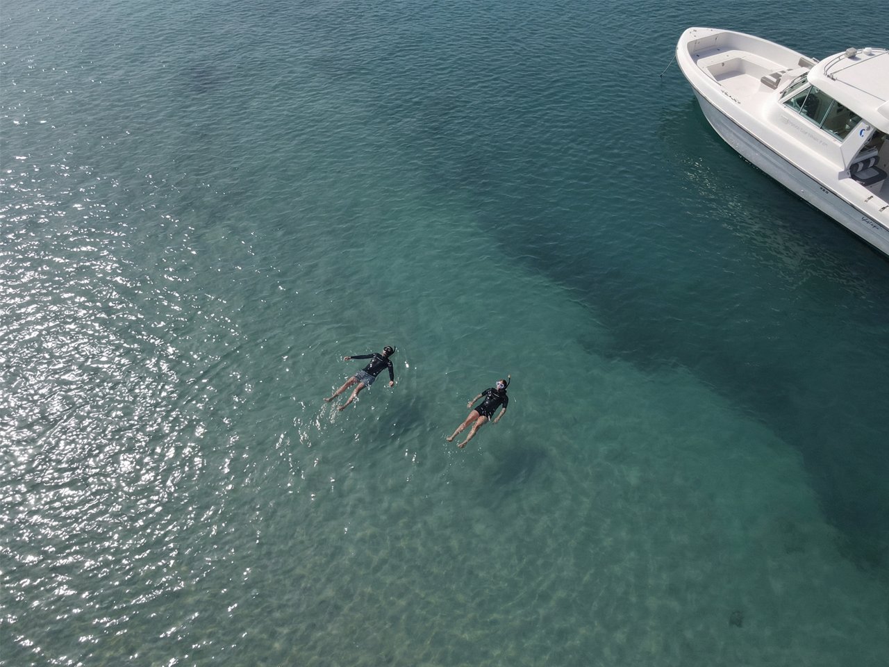 Snorkeling & Dolphin Sightseeing