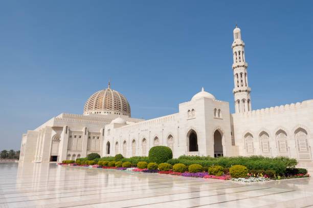 https://ur2h9smi.turpal.com/media/Gl2DQksA9Co5b8p8ex0OxjgcJDKFXzOY9ZiCmaGS.jpg