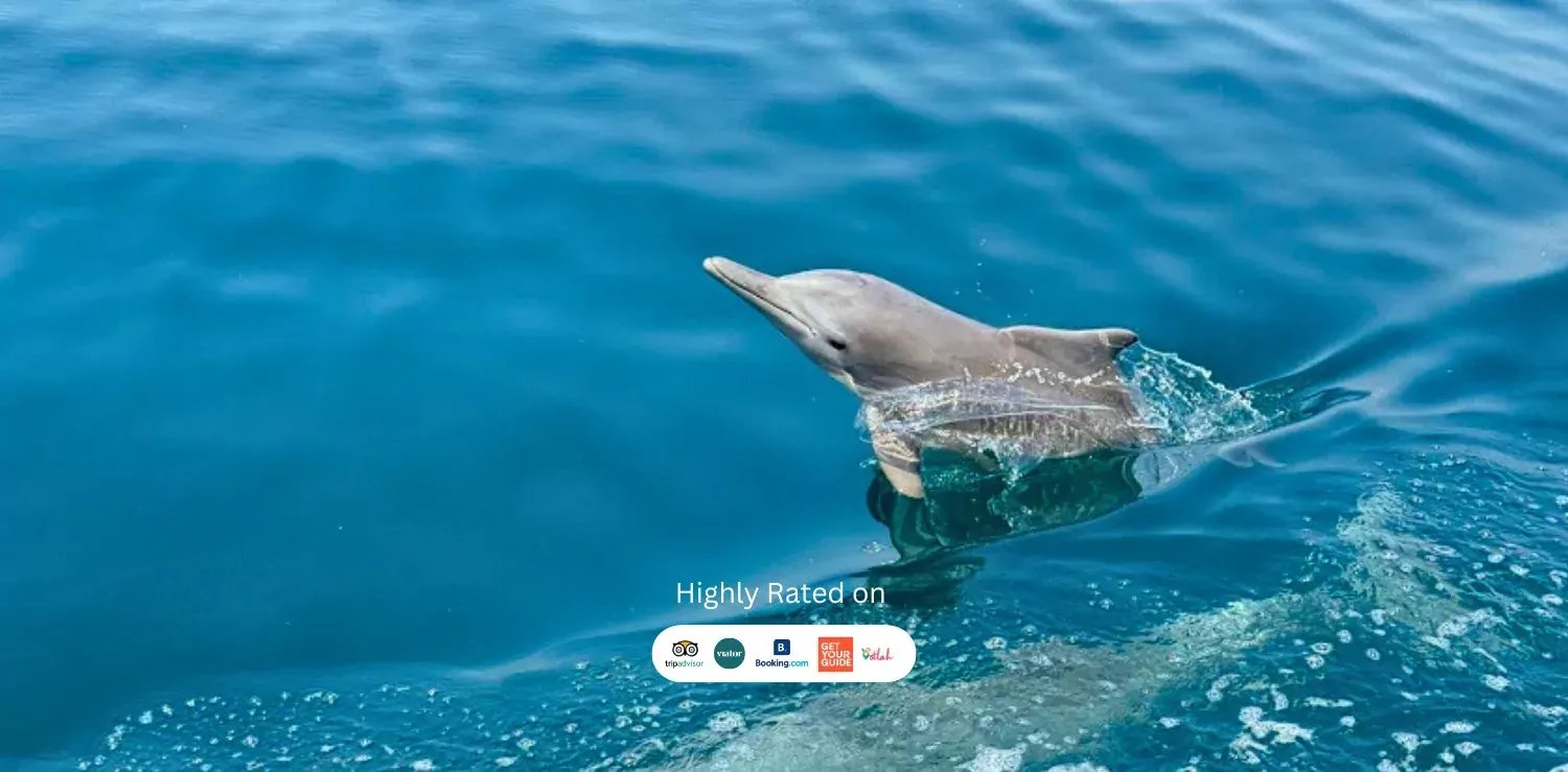 https://ur2h9smi.turpal.com/media/LRuajJbqwRSBLoZhYUdH7boIPelX0zvvIlRlKTyE.webp