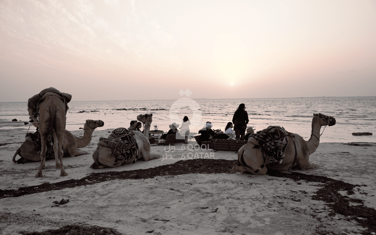 Scenic Northwest Qatar Heritage & Coastal Discovery  Half day Tour