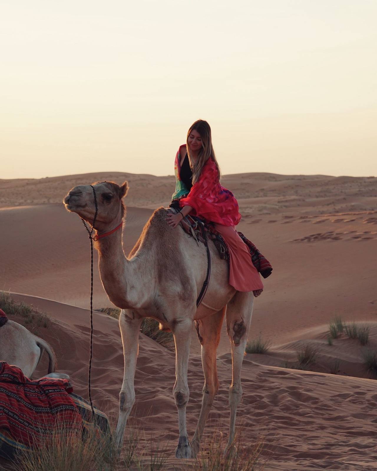 https://ur2h9smi.turpal.com/media/Tj2PVeNWPnQXiMj5V624totur9HVVeBHyF35wFZe.jpg