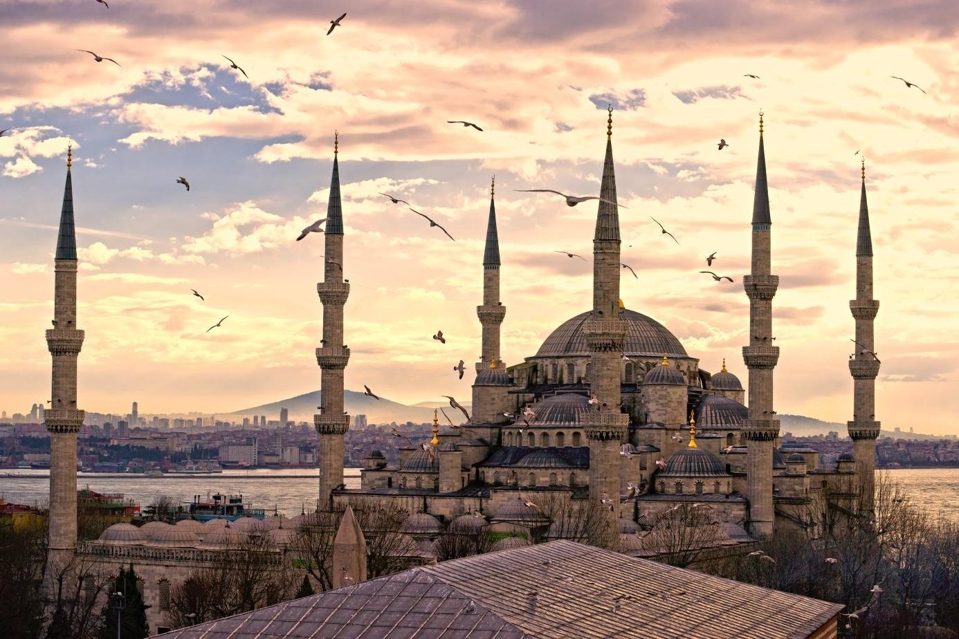 Istanbul City Tour: Full-Day Guided Tour of the Old City (Hagia Sophia, Blue Mosque, Topkapi Palace and More)