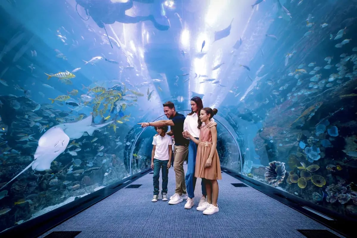 Explore the Dubai Aquarium and Underwater Zoo
