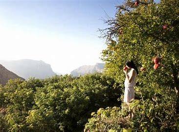 https://ur2h9smi.turpal.com/media/qTIZvkza3HAhYNVgCuHqf6ddw3ef63F272ZJ4SZM.jpg