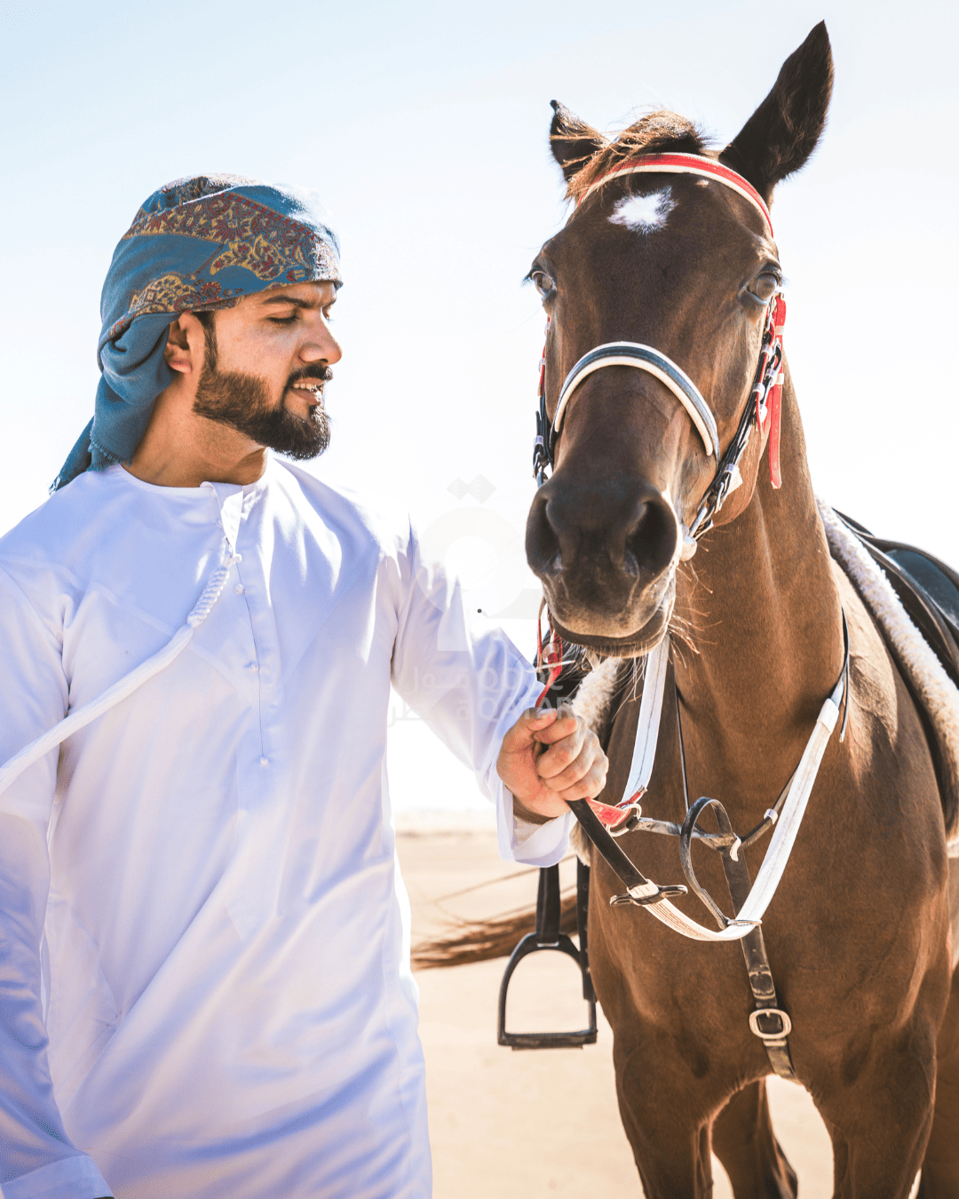 Fascinating Horse Riding Adventure in Qatar