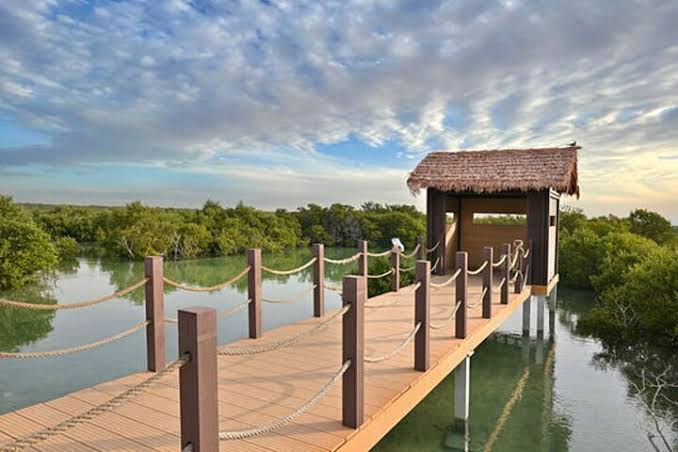 Historic Al Khor Purple Island Archaeological Experience in Qatar