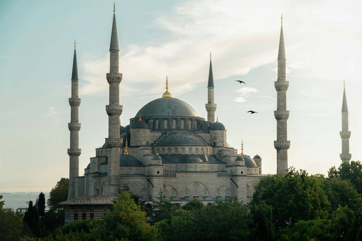 https://ur2h9smi.turpal.com/media/z1Bcc9s05yVPomDLYVy32pG3ArZeZo8hnagC7O4h.jpg