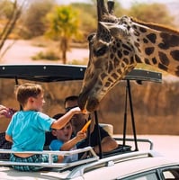 Al Ain Zoo Experience | Wildlife Adventure & Family-Friendly Zoo Visit in the UAE
