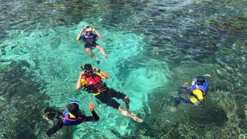 Leisure Trips Daily: Bayada Island