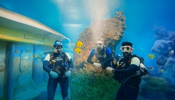 Discover Scuba Diving at SeaWorld Abu Dhabi | Beginner Dive Experience