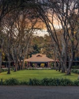 Your Special Bush Safari: 4 Days 3 Nights