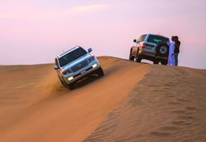 Half-Day Desert Safari Experience (Shared Tour)