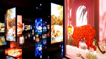 ARTE MUSEUM Dubai Tickets | Immersive Art Experience