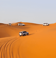 Private Morning Desert Safari (Up to 6 Passengers)