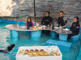 Breakfast with Sea Lion Dubai | Unique Family Wildlife Experience at Emirates Park Zoo