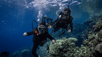 Try Scuba Diving