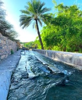 GREEN MOUNTAIN & DESERT: 3 Days / 2 Nights
