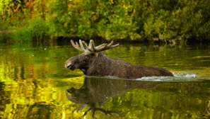Russian National Nature Reserve