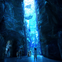 SeaWorld Abu Dhabi | Marine Life Theme Park on Yas Island