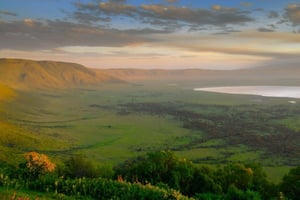 Your Special Bush Safari: 6 Days 5 Nights