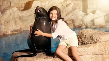 Sea Lion Experience at Atlantis The Palm Dubai | Marine Animal Encounter