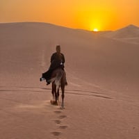 Photos Riding with Horses
