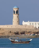 Desert & Turtles 2-Day Oman Adventure: Wahiba Sands, Sur & Wadi Shab