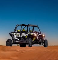 Morning Dune Buggy Tour 1 Hour (2 Seater)
