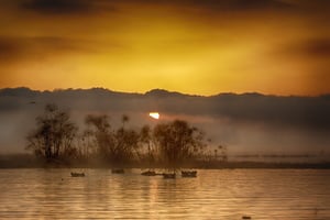 YOUR SPECIAL BUSH SAFARI: 7 Days 6 Nights