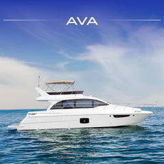 C-52 AVA *NEW MODEL*