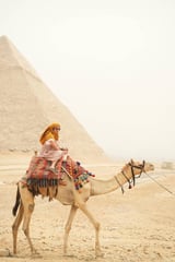 Evening Desert Safari on sharing basis- Premium Adventure