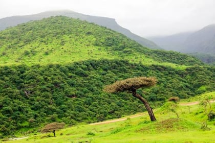 Explore Hawana Salalah