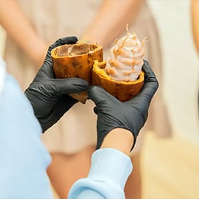 Best Chocolate Making Class Dubai Experience | Learn Artisan Chocolate Workshop UAE