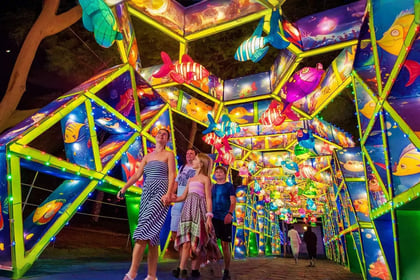 Dubai Glow Garden