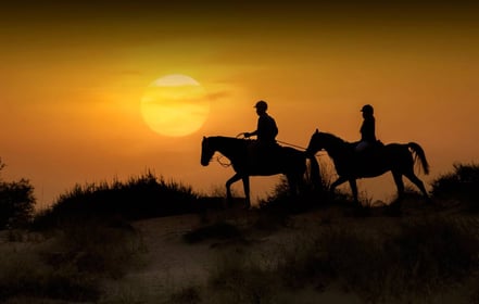 Romantic Full Moon Horse Ride Dubai | Desert Night Horseback Experience UAE