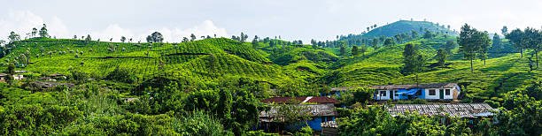 Kerala Tour Season 2026: Explore the Beauty of Kerala