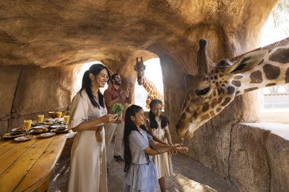 Breakfast with Giraffes Abu Dhabi | Unique Wildlife Dining at Emirates Park Zoo