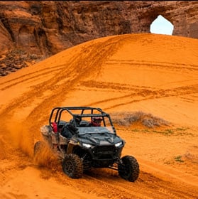 Top Trip (60 min)