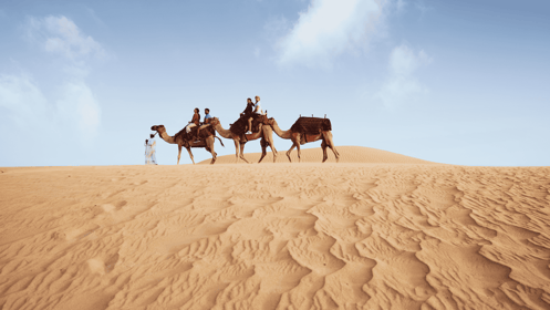 Camel Safari & Overnight Desert | Heritage Experience