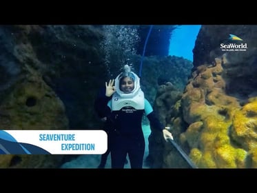 SeaVenture Underwater Walking at SeaWorld Abu Dhabi