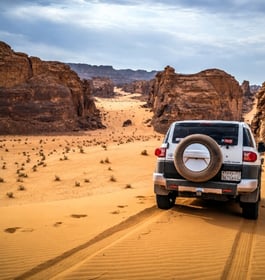 Guided 4x4 Adventure in Sharaan Nature Reserve