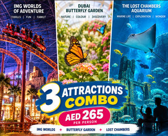 IMG Worlds + Lost Chambers+ Butterfly Garden Combo