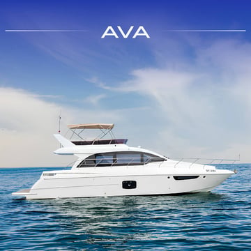 C-52 AVA *NEW MODEL*
