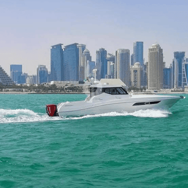 Speed Boat Coastal Discovery Tour