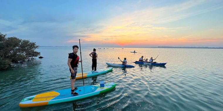 Mangroves Paddleboard Adventure at Al Thakira Mangroves, Qatar