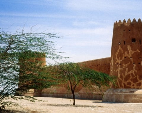 Scenic North East Qatar Heritage & Coastal Discovery Tour