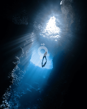 Scuba Diving Experience in Qatar