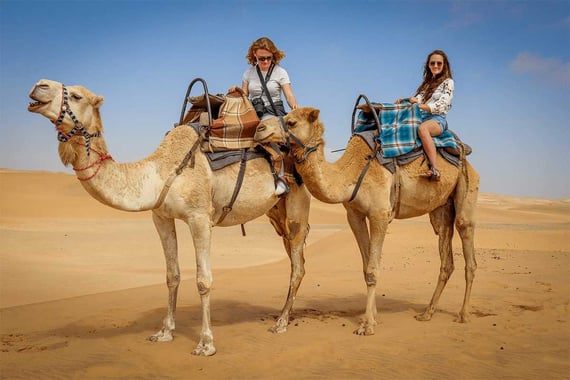 Camel Riding Adventure: Experience the Desert