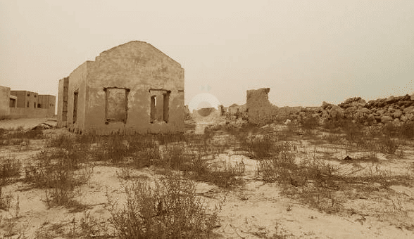 Al Areesh Ghost Town Historical Tour in Qatar
