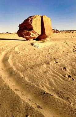 Exciting Desert Safari Adventure with Dune Bashing